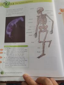 Cambridge  Checkpoint  Science  Coursebook.7