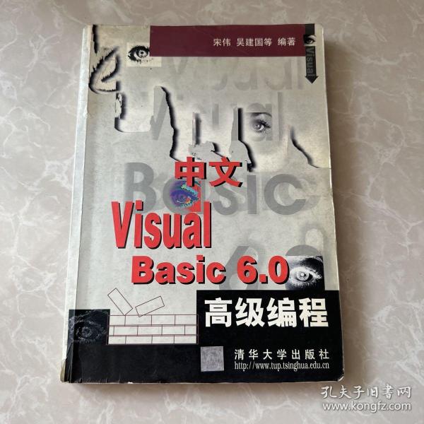 中文 Visual Basic 6.0 高级编程