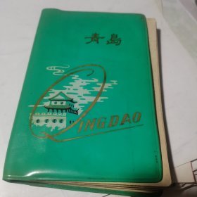 1983年50开青岛塑料皮日记本【青岛第六中学赠本】青岛风景插图