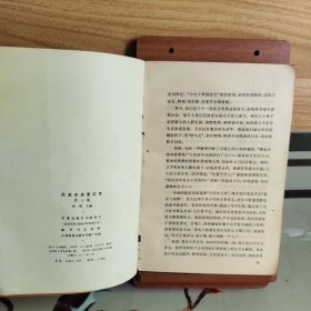 历史在这里沉思—1966-1976年记实