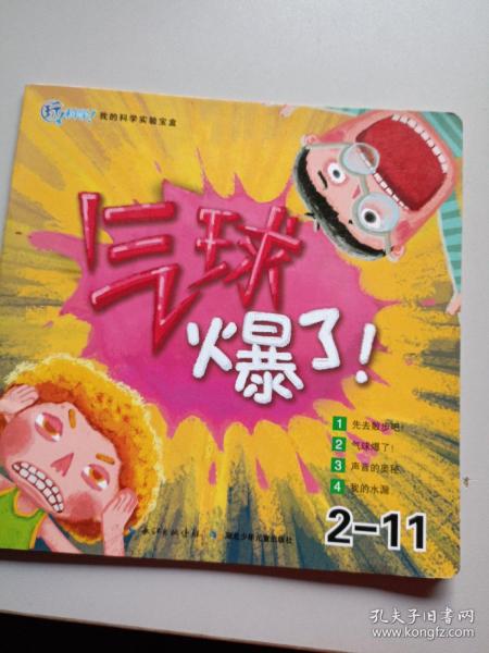 玩科学！我的科学实验宝盒（5-6岁适用第2阶段套装共11册）