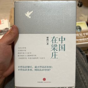 中国在梁庄