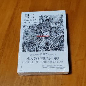 黑书（诺奖得主帕慕克极致野心之作，小说版《伊斯坦布尔》）