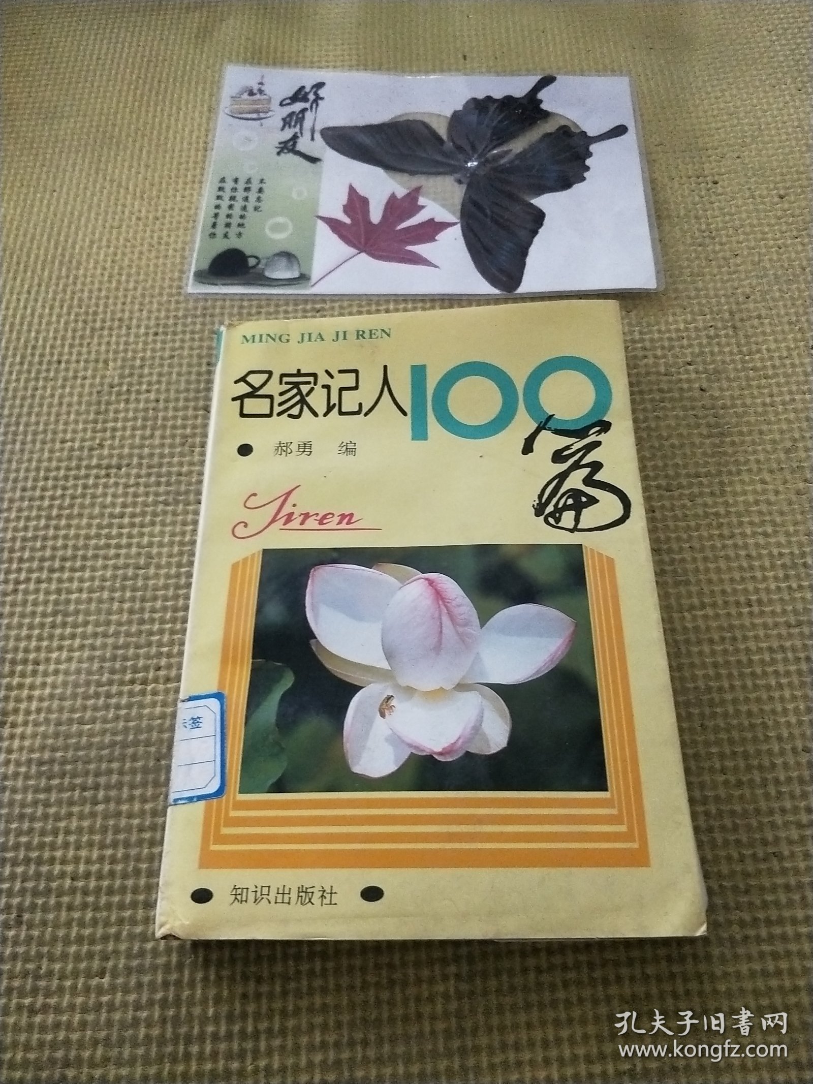 名家记人100篇