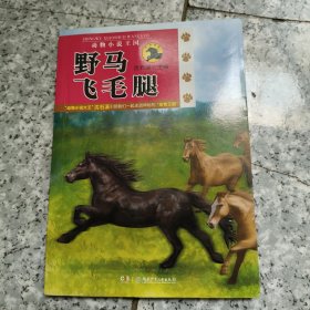 动物小说王国 正版内页全新