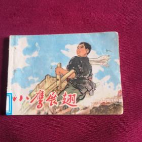 小鹰展翅F2