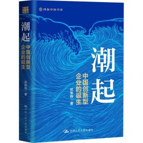 潮起 中国创新型企业的诞生【正版新书】