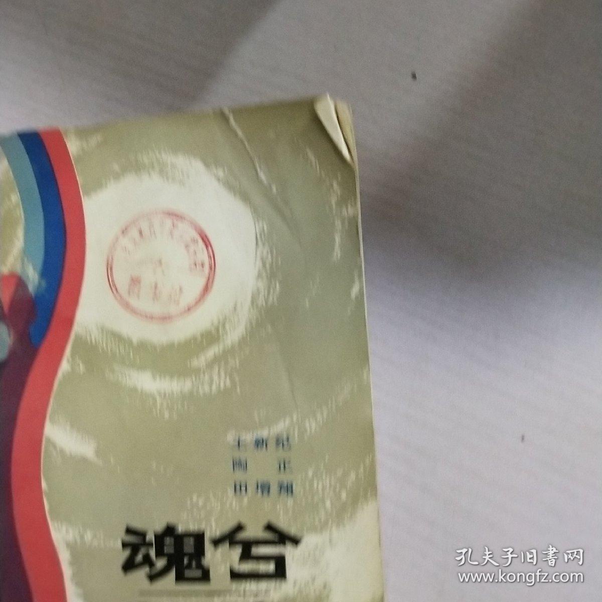 魂兮归来 下册