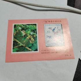 鸟邮票珍藏纪念，大山雀一张T7（8—4）20分。绘画好资料。