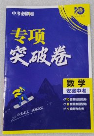 中考必刷卷专项突破卷数学