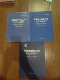 中国电力行业人才年度发展报告（2024年，2023年，2022年未开封）3本合售