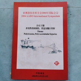 亚洲创伤骨科学会2004年国际会议（会议主题：多发性骨折损伤，骨盆及髋臼骨折）