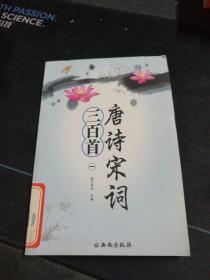 《唐詩宋詞三百首》（一）