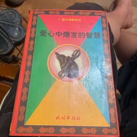 爱心中爆发的智慧:藏传佛教研究