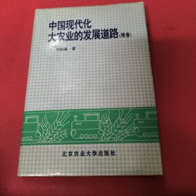 中国现代化大农业的发展道路.续卷