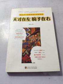 天才在左 疯子在右：国内第一本精神病人访谈手记