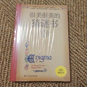 很美很美的猜谜书(升级版)：巴黎彩绘解谜手册！激发孩子数学兴趣入门书！172道谜题+200幅中世纪风格插画，精雕细琢的图腾，全书充满故事性与神秘感