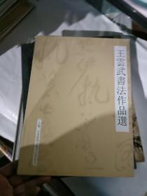 王云武书法作品选