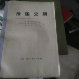 法国史纲（大32开62）