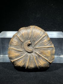 正宗手把松花莲蓬小套砚，造型新颖，线条流畅，包浆厚重，收藏佳品！重约475g，