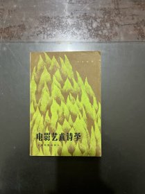 电影艺术诗学