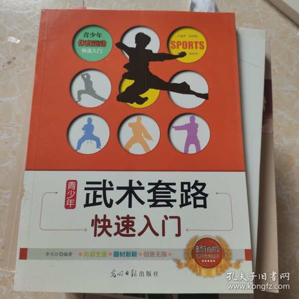 青少年武术套路快速入门