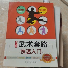 青少年武术套路快速入门