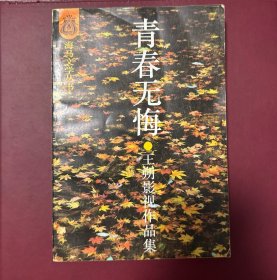 青春无悔:王朔影视作品集
