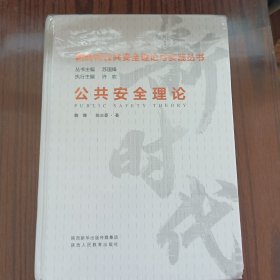 新时代公共安全理论与实践丛书