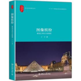 图像缤纷 美术理论 丁宁 新华正版
