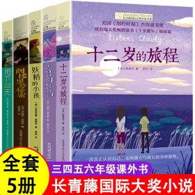 长青藤国际大奖小说十二岁的旅程地下121天妖精的小孩阁楼里的秘密蓝莓季节全套5册