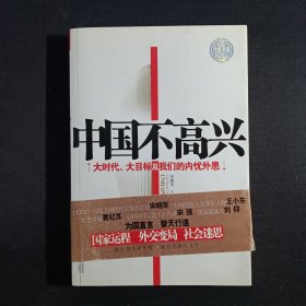 中国不高兴：大时代大目标及我们的内忧外患