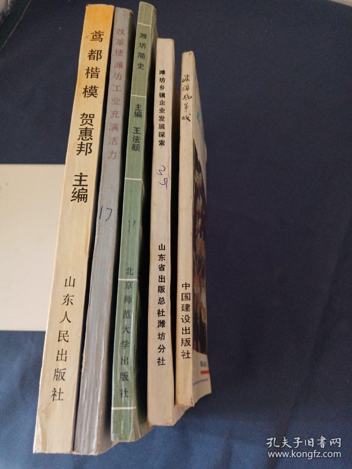 鸢都楷模 潍坊简史 潍坊乡镇企业发展探索 潍坊改革工业有活力 漫游风筝城一位老华侨在潍坊（五本合售）