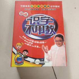 仔仔通 识字不用教（20DVD超值体验）只有20张光盘