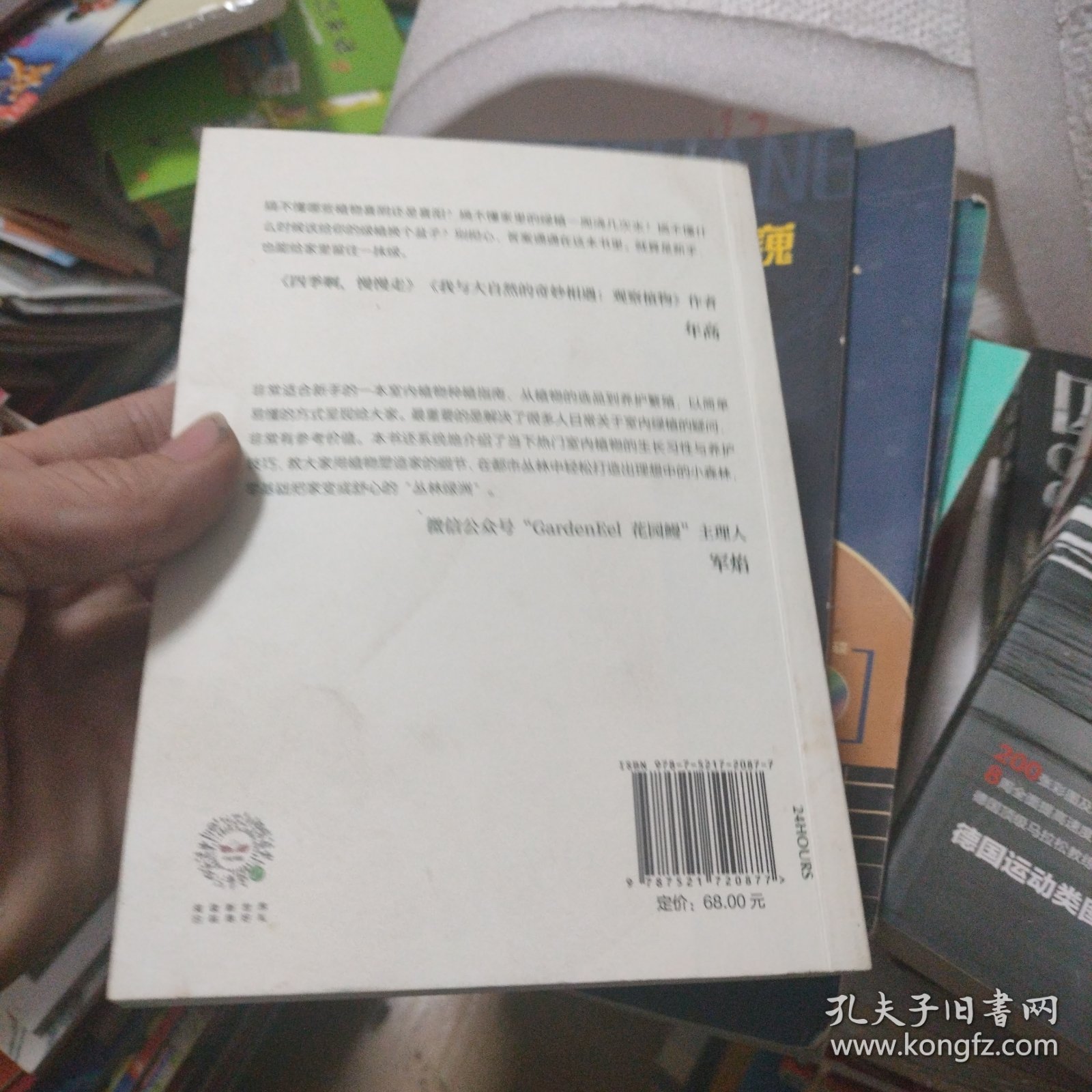 绿植这么养就对了