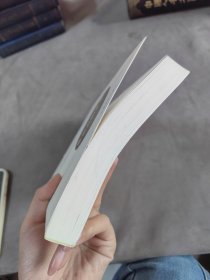 亚布力的光芒:中国企业家论坛白皮书