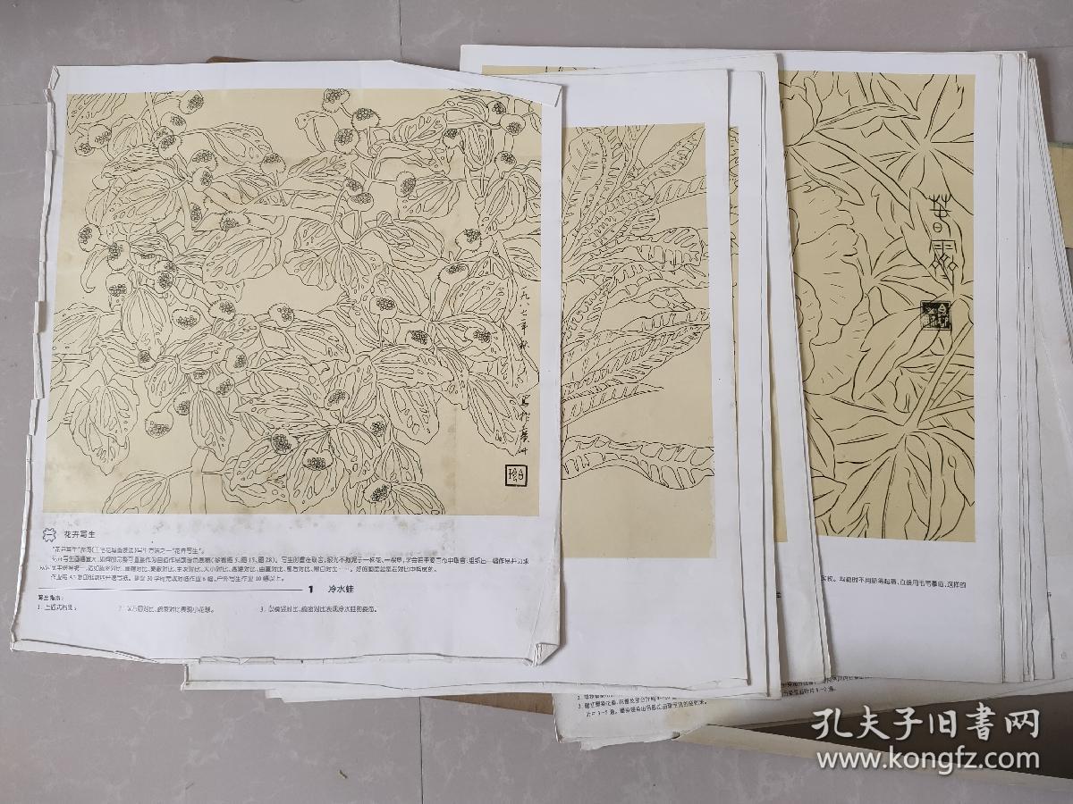 工笔花鸟画范画集（36页全）