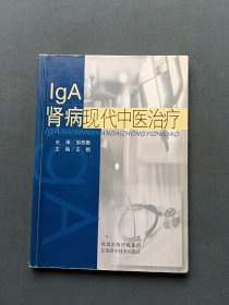 LgA肾病现代中医治疗