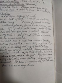 Elementary Bacteriology 基础细菌学 民国 古旧书 1903年 精装本 馆藏书 内页笔迹较多 英语原版书 细菌学基础