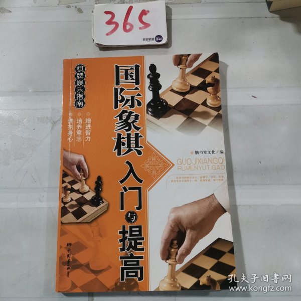 棋牌娱乐指南：国际象棋入门与提高