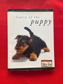 legacy of the puppy