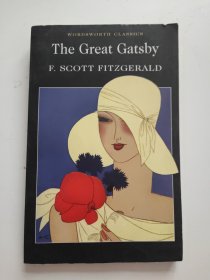 The Great Gatsby 书内少量划线！