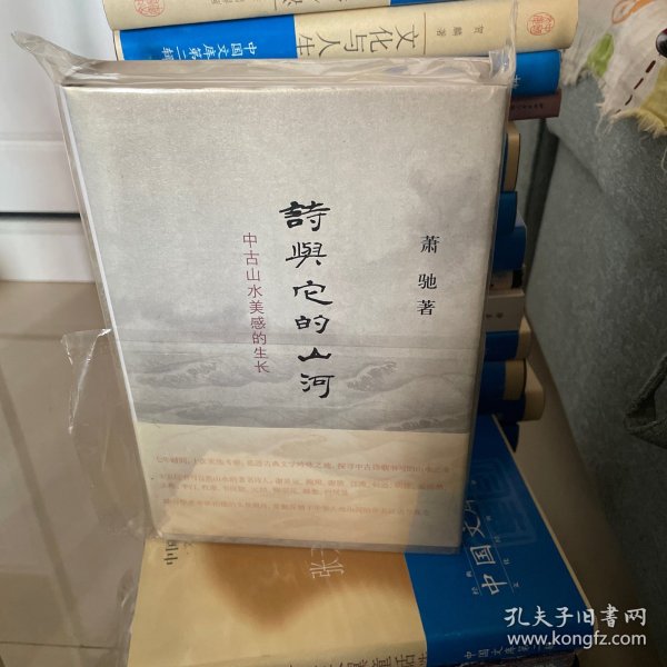 诗与它的山河：中古山水美感的生长