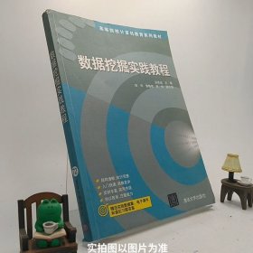 数据挖掘实践教程 高等院校计算机教育系列教材