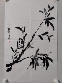 保真书画，中国影坛前辈，中国著名表演艺术家，中国电影家协会副主席，中国电影金鸡奖终身成就奖获得者，江姐的扮演者于蓝，国画《墨竹》一幅，尺寸69.5×44cm,值得珍藏历史名人佳作！
