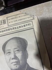 极其悲痛地哀悼伟大的领袖和导师毛泽东主席逝世 8开！哈尔滨日报 1976年9月10号到19号合订本！！