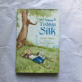 The Naming of  Tishkim  Silk   英文童書  精裝