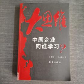 大思维：中国企业向谁学习