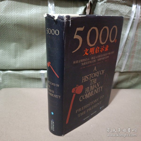 5000年文明启示录（比肩《全球通史》，世界近千所高校历史学推荐书目）