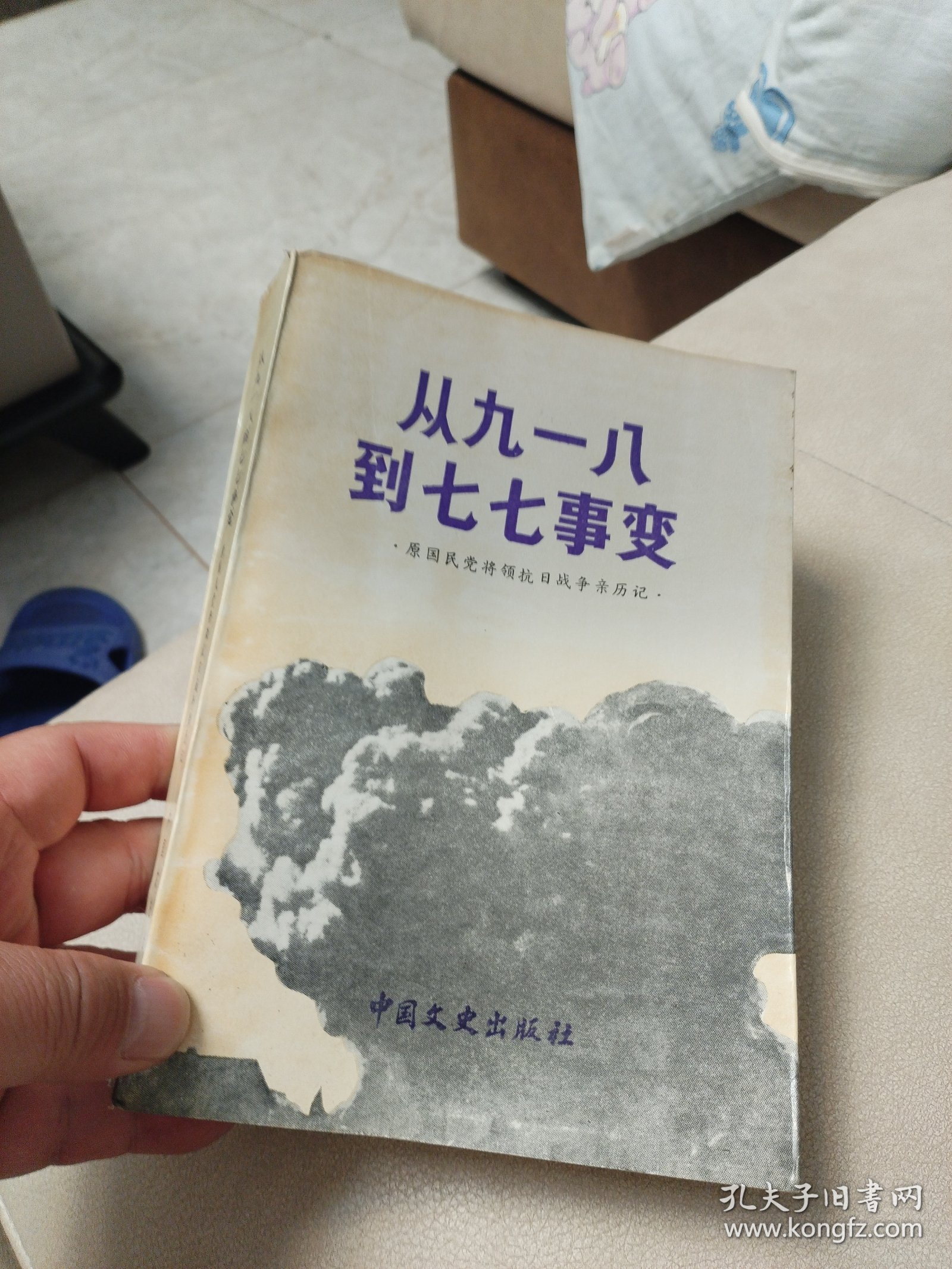 《原国民党将领抗日战争亲历记》丛书:(从九一八到七七事变)